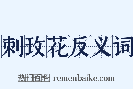 刺玫花反义词是什么意思的图片